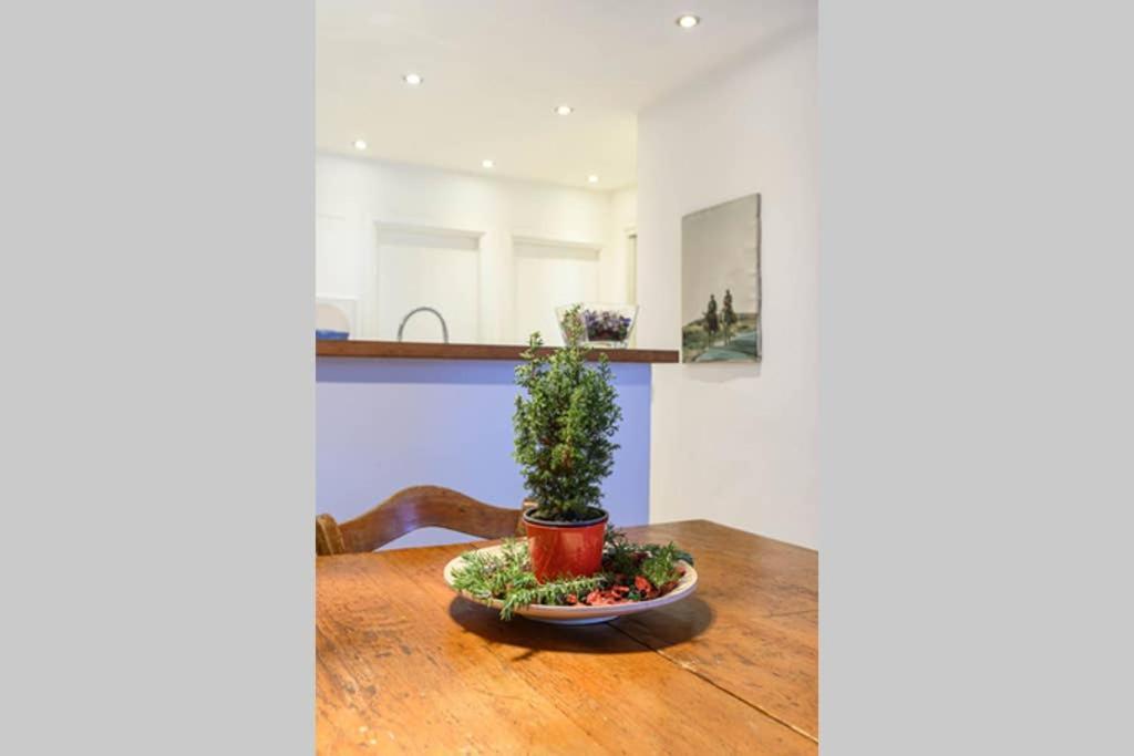 Delicious Apartment 罗马 外观 照片